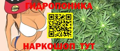спиды Рыбинск