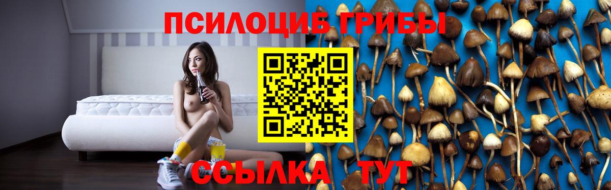 Анжеро-Судженск  купить  сайты  Вход с VPN  Псилоцибиновые грибы MAGIC MUSHROOMS 
